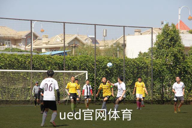 专业ued官网体育平台