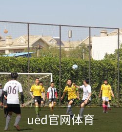 项目案例