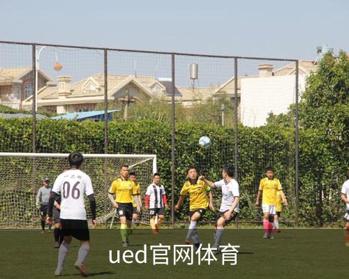 ued官网体育体育的故事 